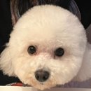 훌랄라참숯치킨불광2동점