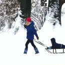 코로나펜션 이미지