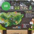 살구미둘레길입구 네이버블로그