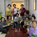 노와1리경로당 이미지