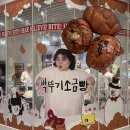 현대청양점 | 박뚜기 소금빵 소세지 청양마요, 랜치 명란마요, 오리지널 후기!