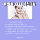 유셀의원 티스토리