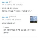 마이가이드 이미지