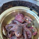 천북굴단지 이미지