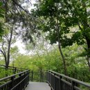 영축산순환산책로(광운대역) 이미지