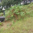 신산리마을회관 이미지