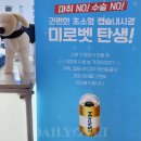 미로유통 이미지