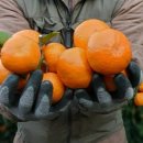 마소물로8번길 이미지