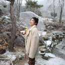 빈센트컴