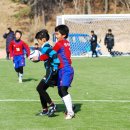 이호 초등학교 이미지