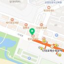 프홀릭