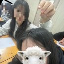 에이스 오락실 | 울고 싶어도 웃고 미워도 사랑하며 살아가야지