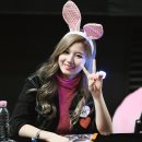토끼사 이미지