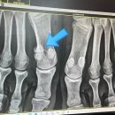 염주상정형외과의원 이미지