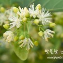 그날이오면 티스토리