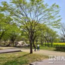 승촌보캠핑장 이미지