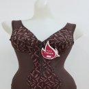 로쟈니에 이미지