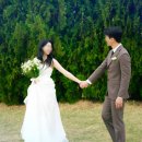 에덴꽃화원 | 남대문 꽃시장 부케 제작 후기(+ 에덴화원 부케 제작 팁 및 주차정보, 꽃시장가서 싸운?썰)