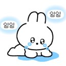 엄픽네일 네이버블로그