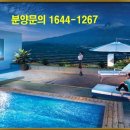 화이트하우스 건물 이미지