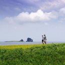 올레길안내소 이미지