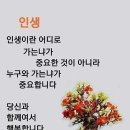 원터골 이미지