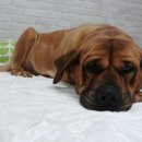 병원농장 이미지