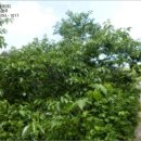 집현면1 이미지