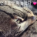 서정수산