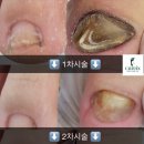 반디인하우스 앤 큐릭스 가산점