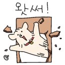 BBQ올리브카페 이미지