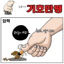 오늘의신문 시사만평 카툰(TODAY CARTOON) 2014년 12월 29일 월요일 이미지