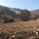 소개울길 이미지