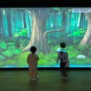 시냇가 푸른나무 유치원 이미지