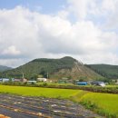 시산리(남) 네이버블로그