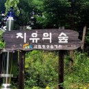 청태산 숲체원 이미지