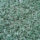 강서개화축구장 이미지