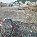 문어통발 이미지