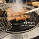 곱들락 | 제주 곱들락 도민 흑돼지 맛집 아기랑 방문 후기