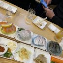 서서자는물고기 이미지