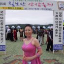 영덕해변축제 Daum카페