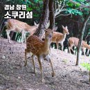 명동 선착장 이미지