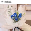 무무플라워 이미지