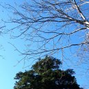 도사곡휴양림 이미지