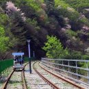 문경목장 이미지