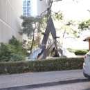 더원공인중개사사무소 이미지