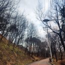 필봉다방