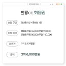 천룡CC(대중제) 이미지