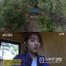 숲속에작은집 이미지