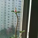 석화유치원 이미지